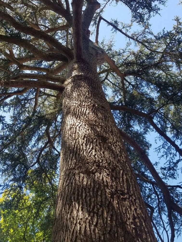 300497444 592162965956754 404154333653661275 n