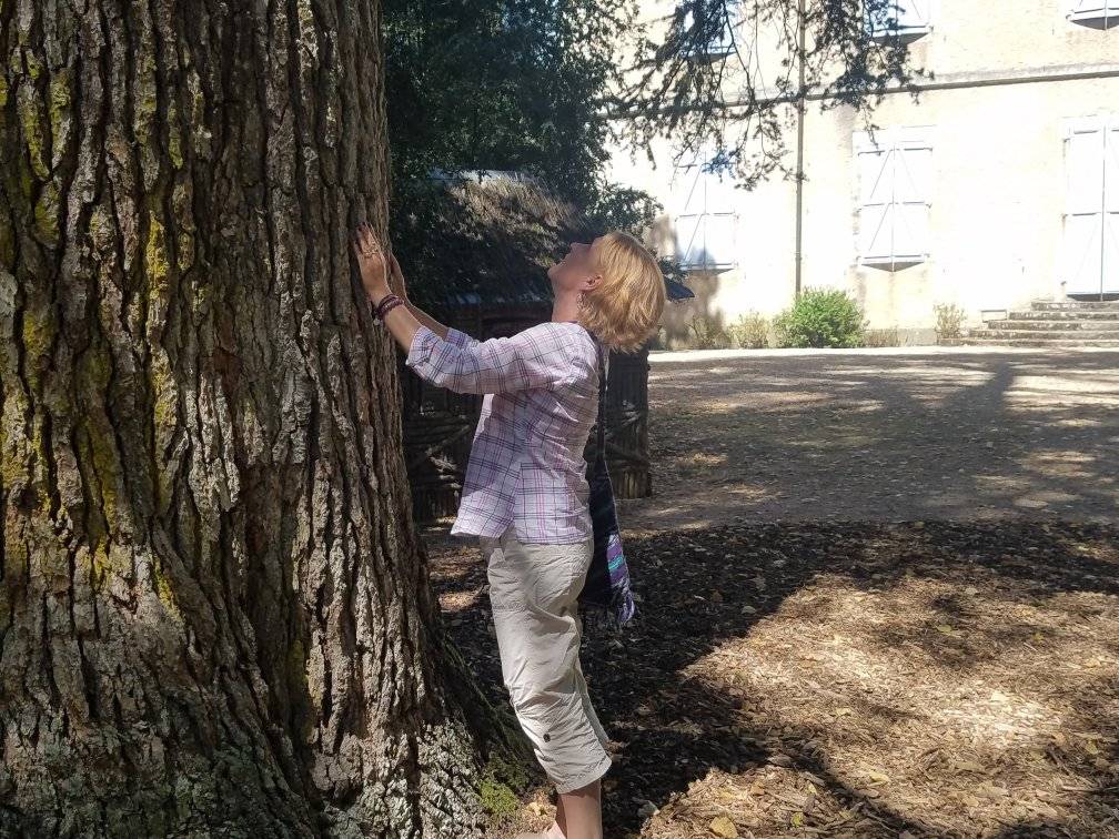 301353600 592162932623424 7614099867054913319 n